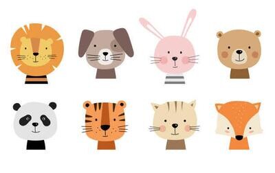 Animal Faces/heads