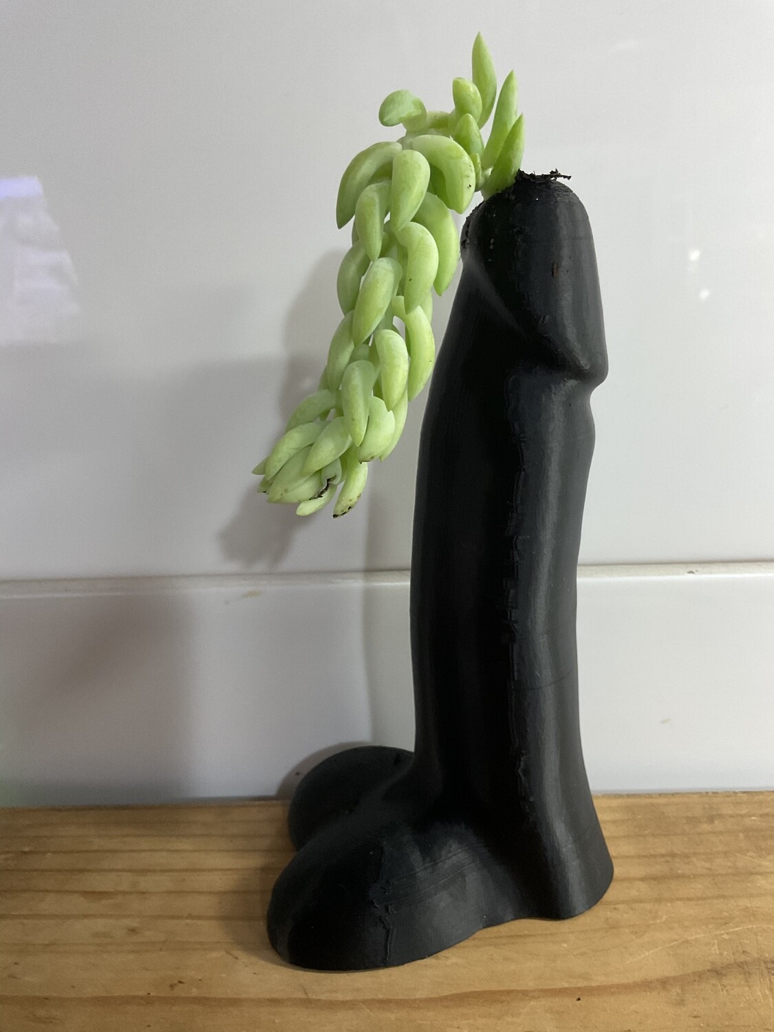 Peni Planter