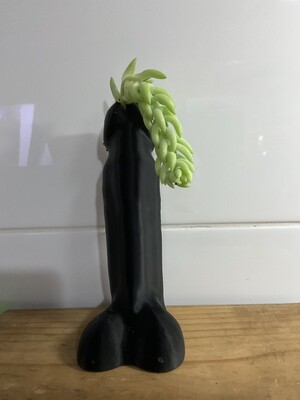 Peni Planter