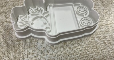 Reindeer in Carriage