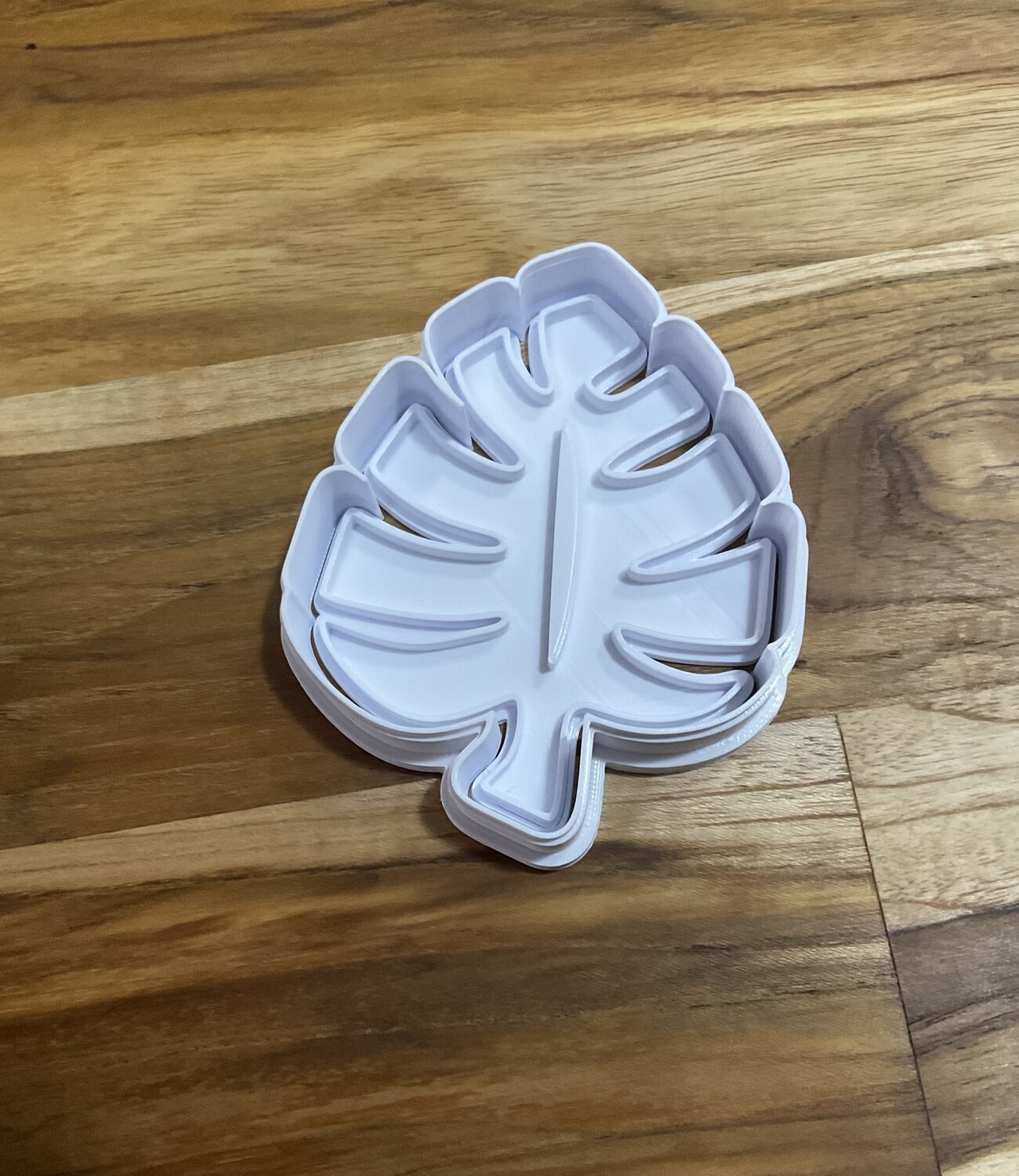 Monstera Leaf