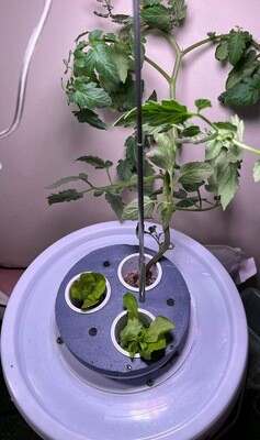 Small hydroponics