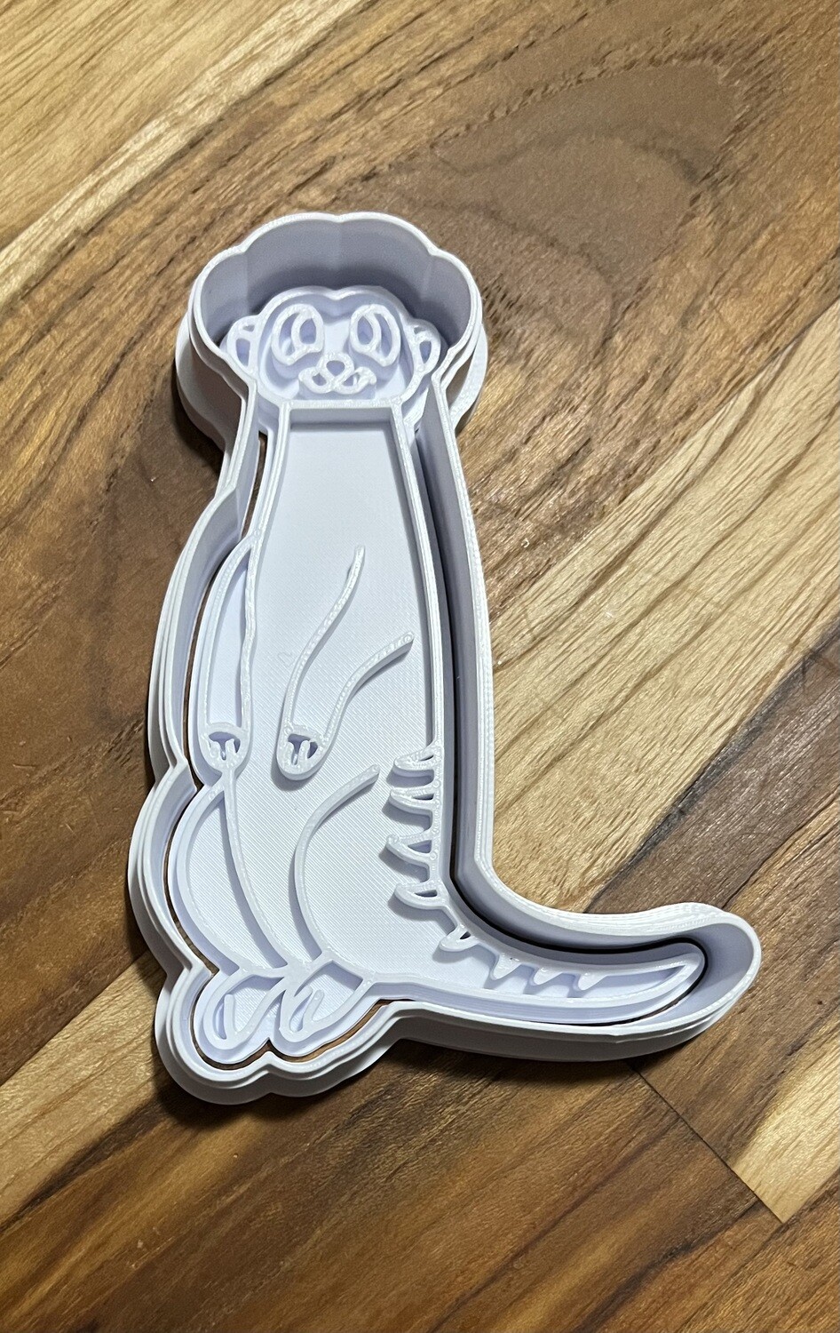 Meerkat