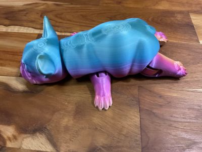 French Bulldog sleeping flexible