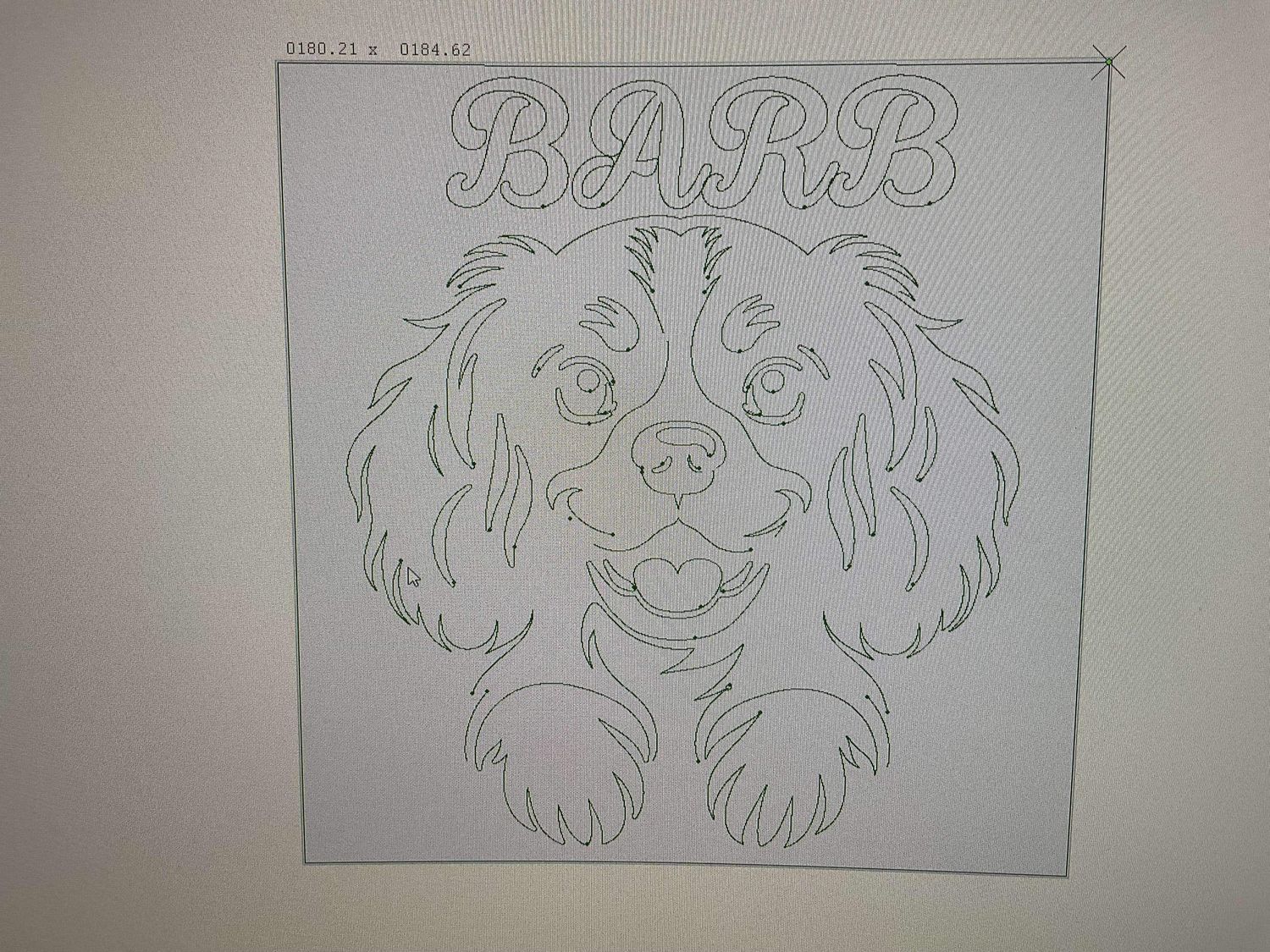 Barb