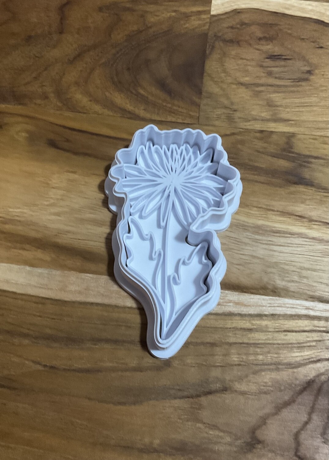 Chrysanthemum
