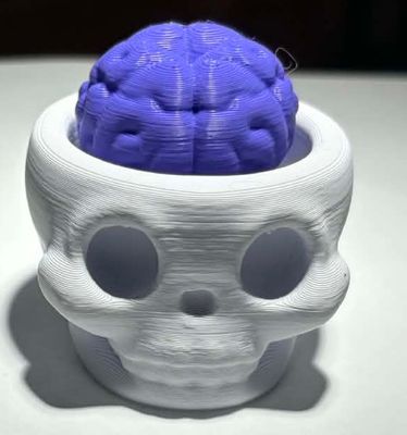 SKULL &amp; BRAIN FIDGET CLICKER