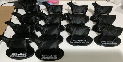 14 trophies