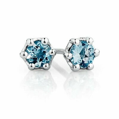 Silver Stud Earrings