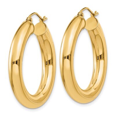 Gold Hoop Earrings