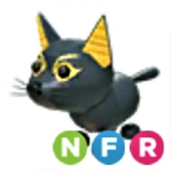 NEON FLY RIDE PETS