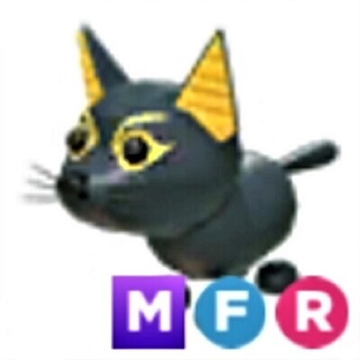 MEGA NEON FLY RIDE PETS