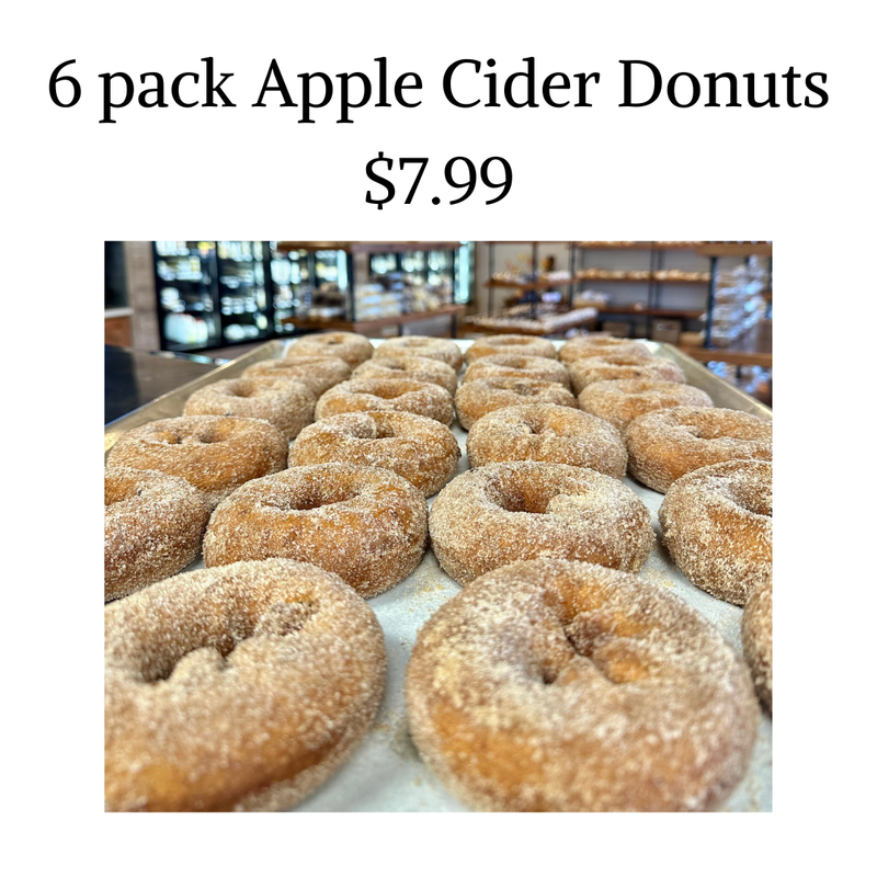 6 pack Apple Cider Donuts