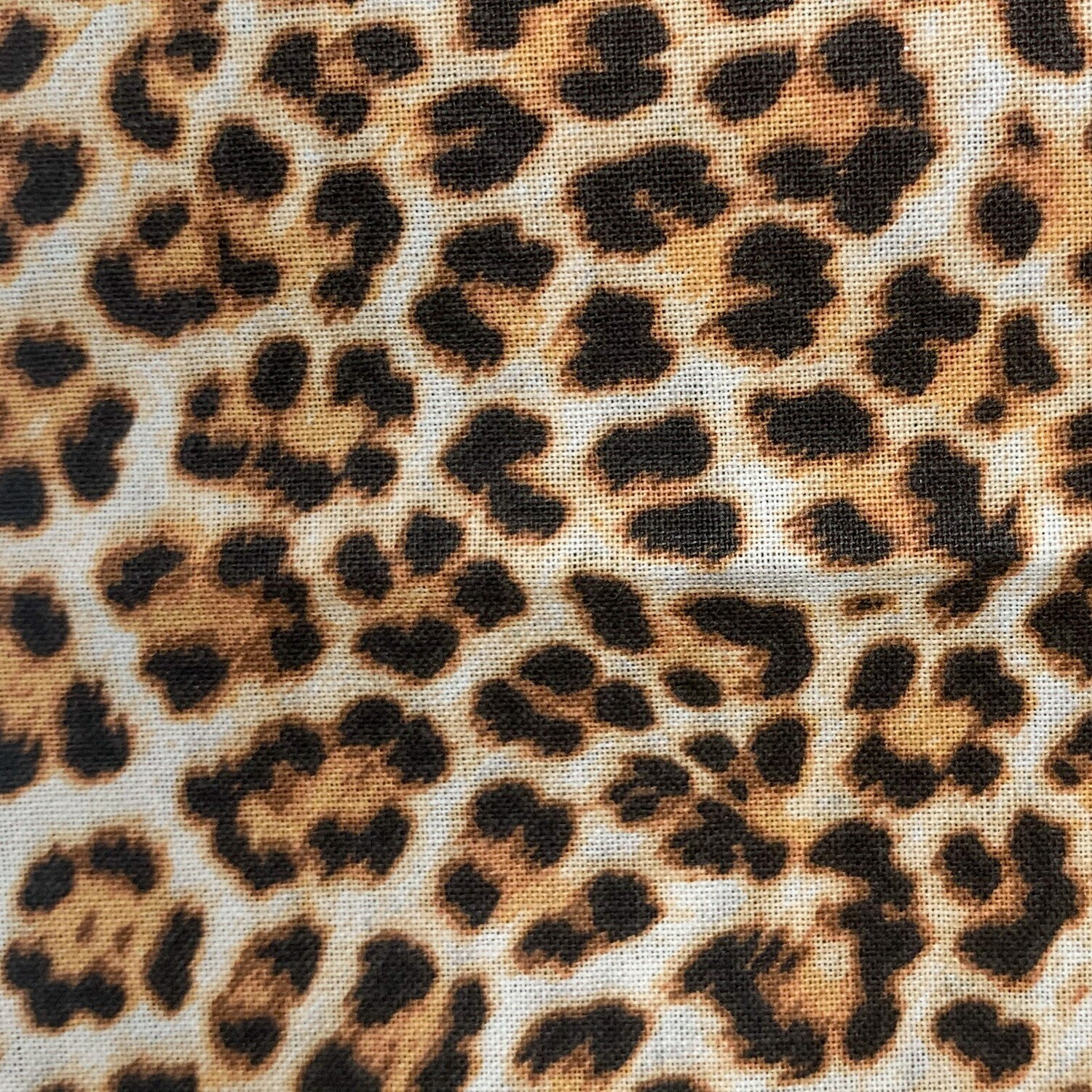 Catnip Cat Toy (Cheetah Print)