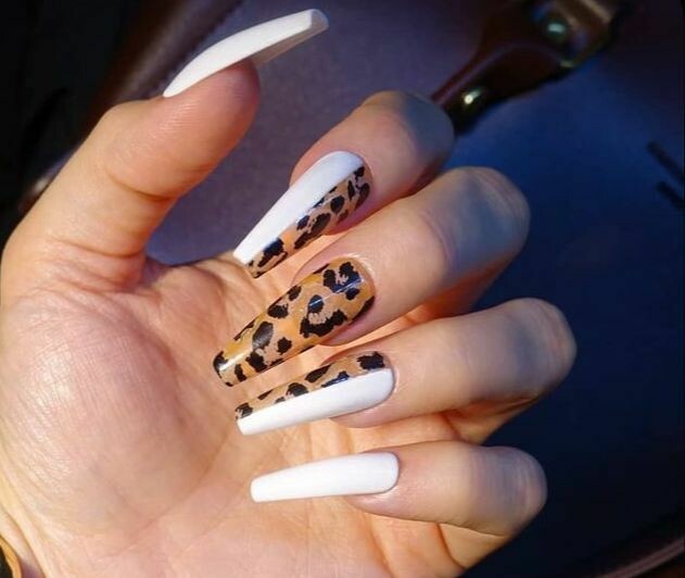Whitepard