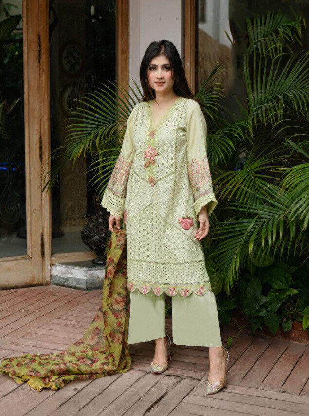 Heavy Embroidered Lawn Cambric Pakistani Suit In Light Green