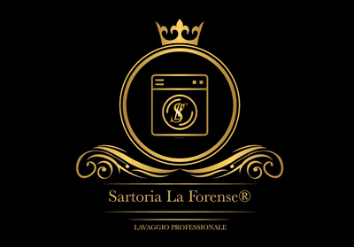 LAVAGGIO PROFESSIONALE TOGA