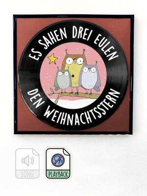 Es sahen 3 Eulen den Weihnachtsstern