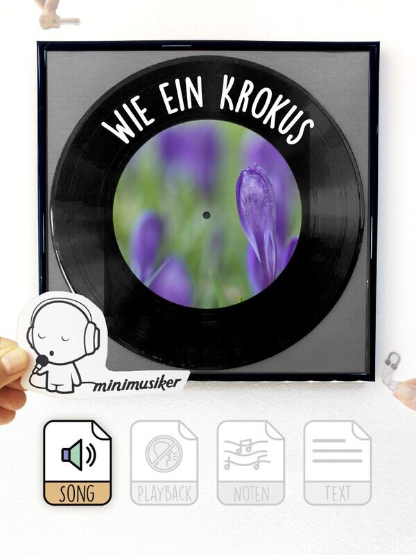 Wie ein Krokus