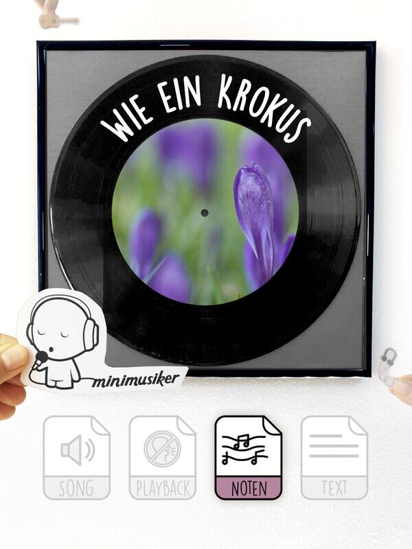 Wie ein Krokus