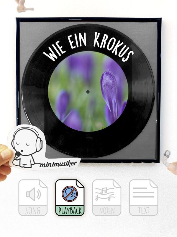 Wie ein Krokus