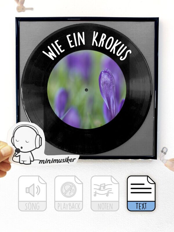Wie ein Krokus