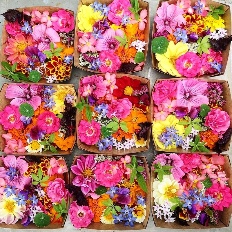 Fleurs fraîches comestibles