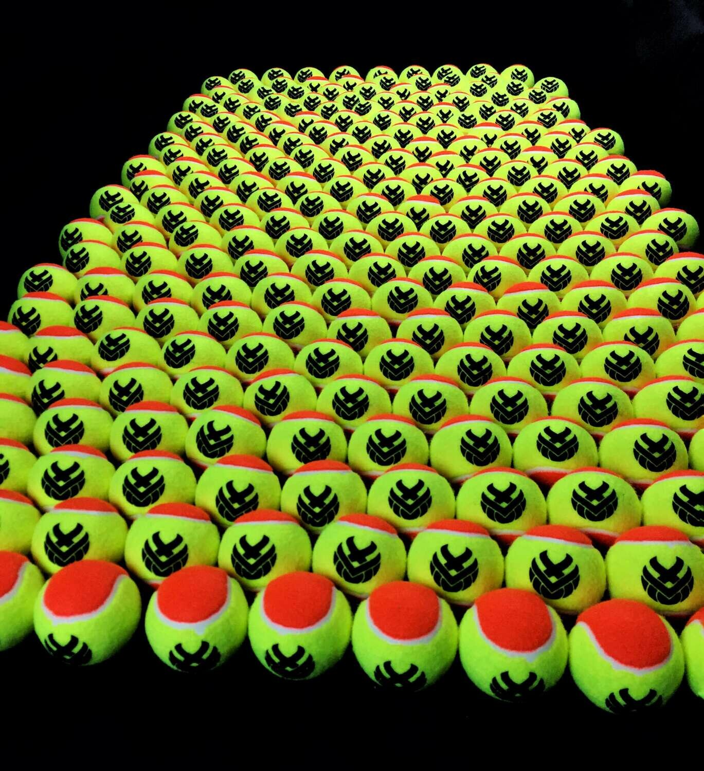 Sports balls.  Bag of 12