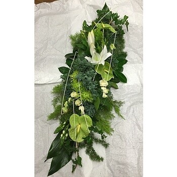 Le Coussin tendance blanc/vert