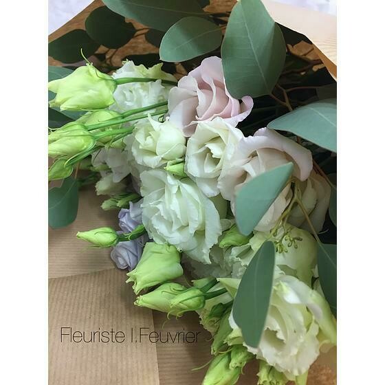 Lisianthus variés and co