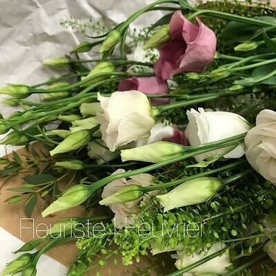Lisianthus and co