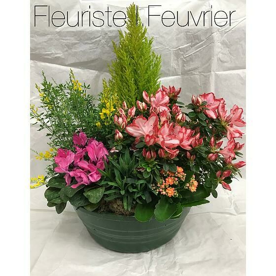 La Grande Coupe de plantes extérieures