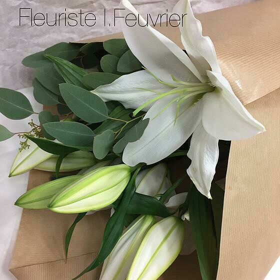 Lys blancs and co