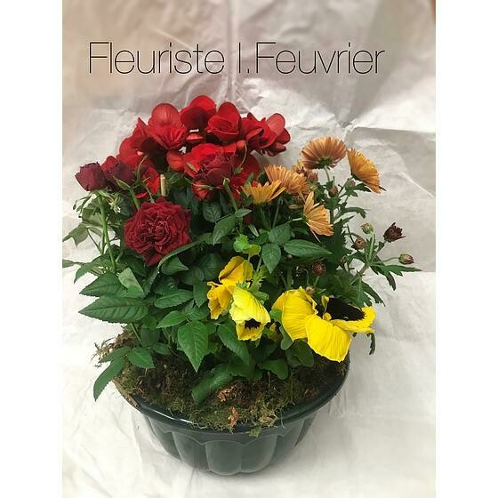 La Coupe de plantes fleuries extérieures