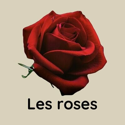 Notre Collection Roses