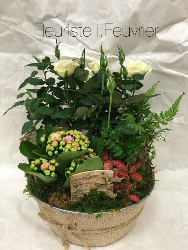 Coin de jardin