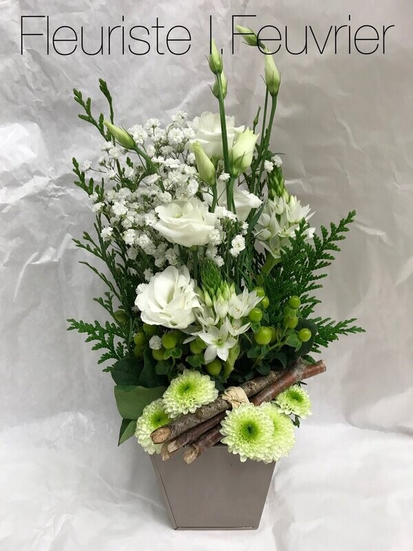 La composition Blancheur