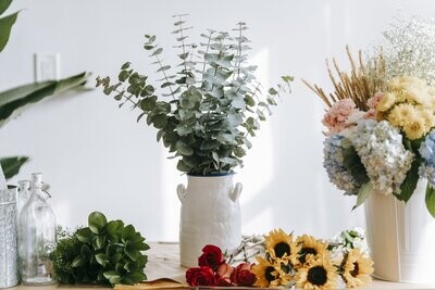 Notre Collection Fleurs et Plantes de saison