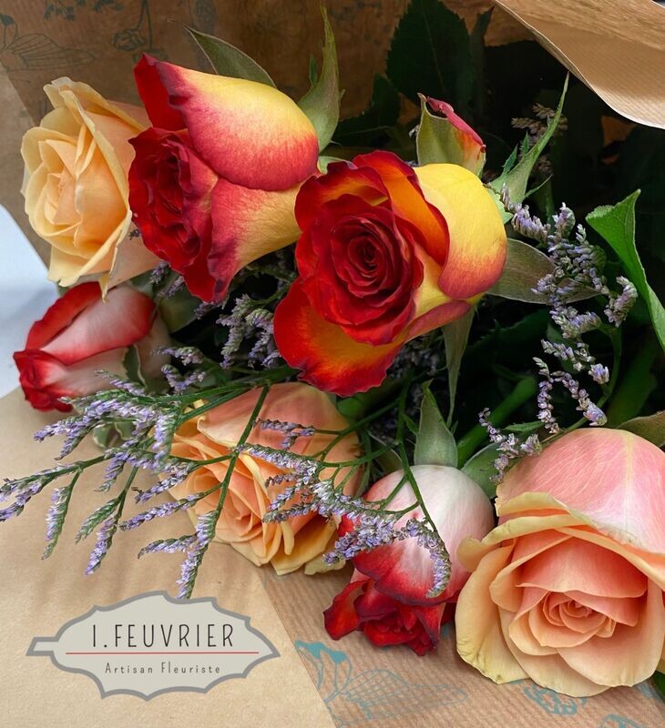 Nos Jolies Roses colorées