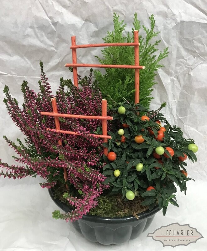 Coupe extérieure de plantes de saison