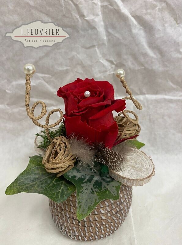 Ma "Rose Éternelle"