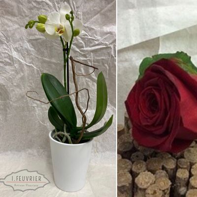Le Duo Mini orchidée avec son cache pot et sa rose rouge