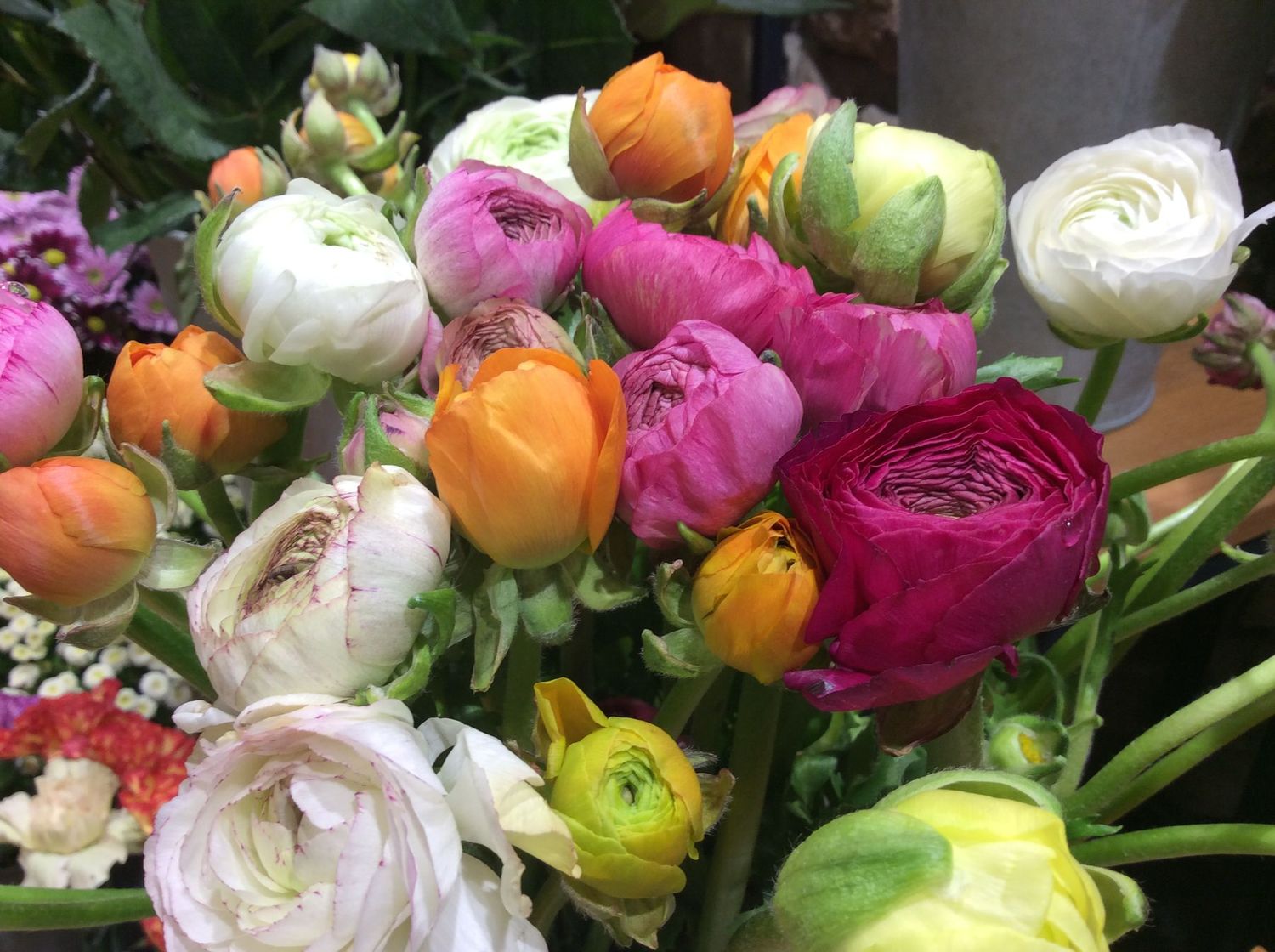 Notre brassée de Jolies renoncules