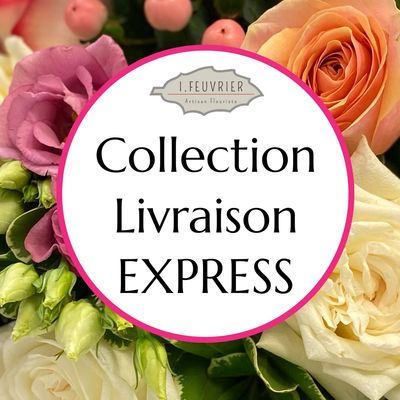 Notre Collection Livraison EXPRESS