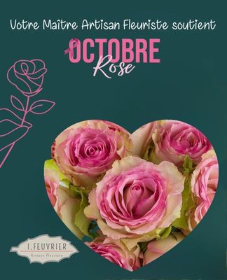 Notre Collection Octobre 2025