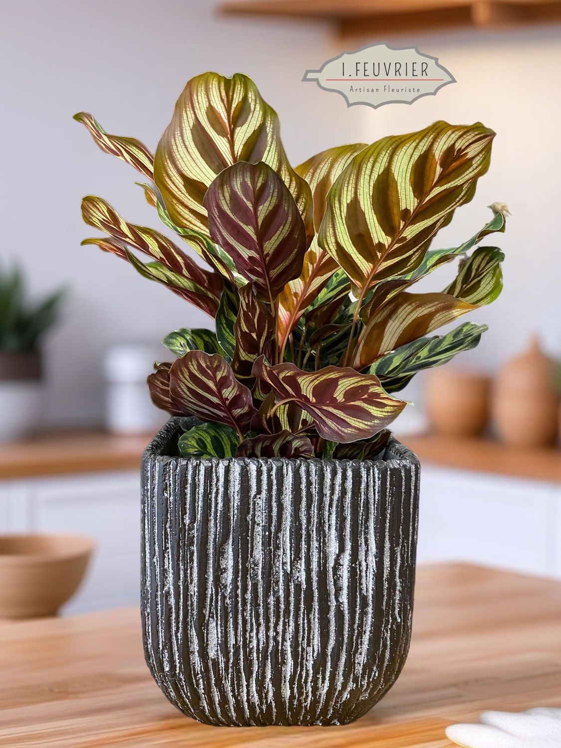 Le Marantha Le Marantha