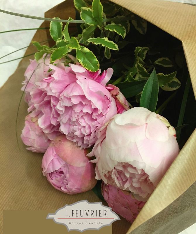 La Brassée  de 7 pivoines