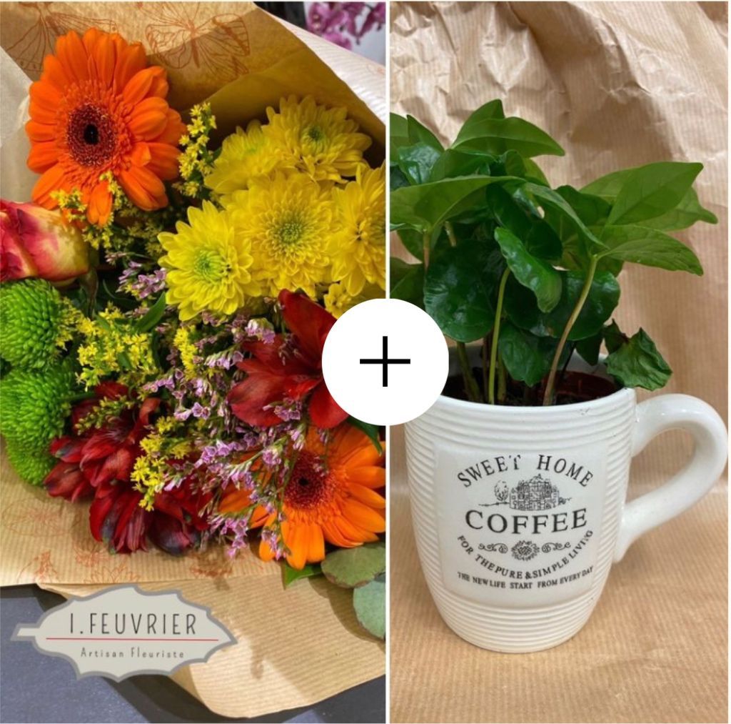 Le bouquet Signature de mon Papa et son plant de café
