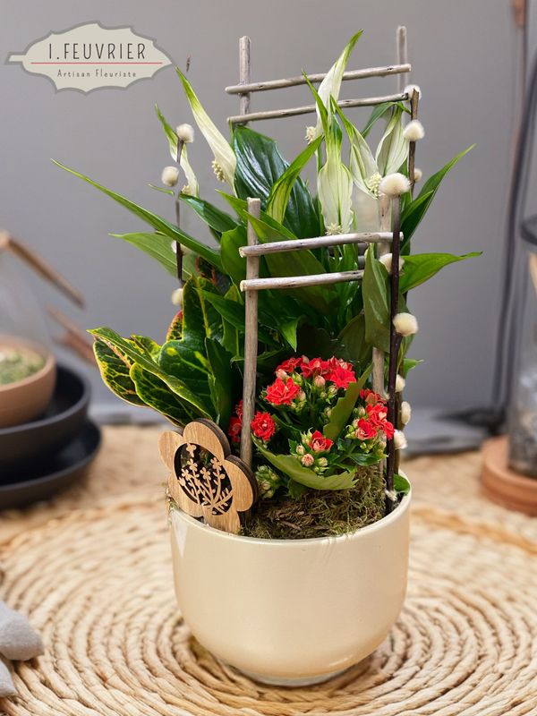 Le jardin de plantes "Eclat d'Amour"