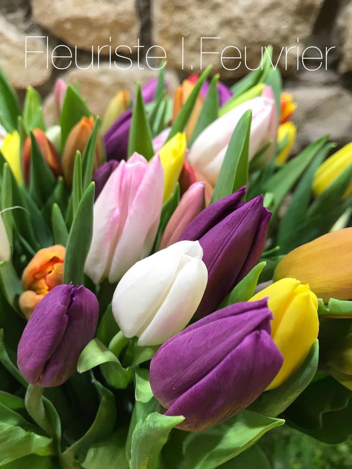 Notre brassée de Jolies Tulipes variées Notre brassée de Jolies Tulipes variées